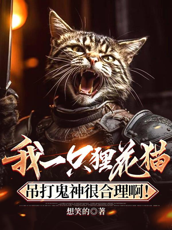 我一只狸花猫吊打鬼神很合理啊图片