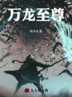 万龙至尊100集完全版