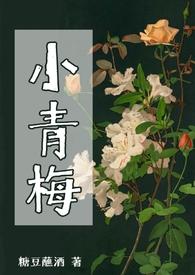 小青梅无防盗无弹窗