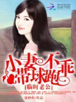 临时老公小妻不乖