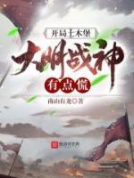 大明战神有点慌203章