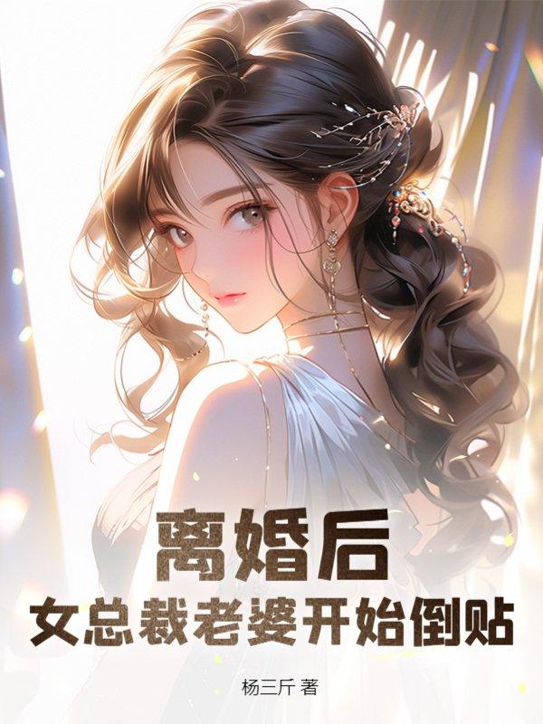 女总裁的离婚赘婿