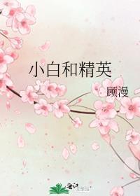 小白和精英笔趣阁无弹窗