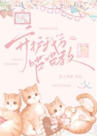 团宠作精小奶猫