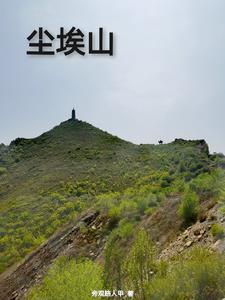 一颗尘埃就是一座山