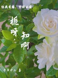 这个字念啥