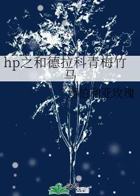 hp之与德拉科的灵魂互