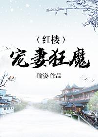 红楼宠妻狂魔雪烛锦灯