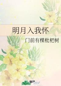 明月入我怀全文阅读免费