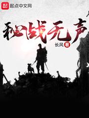 秘战无声电视剧全集免费完整版