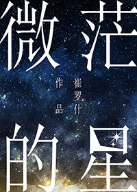 微茫的星字面意思寒假作业