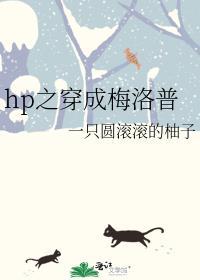 hp梅洛普冈特重生