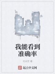 我能看到准确率epub