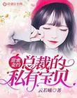 总裁的甜蜜新妻免费版