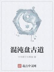 混沌盘古新书