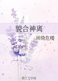 貌合神离哪个字错了