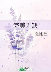 完美无缺广播剧第二季