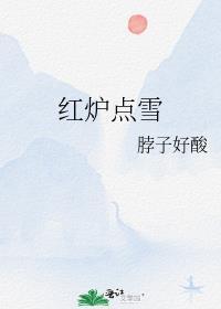 红炉点雪是什么书