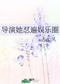 导演娱乐圈