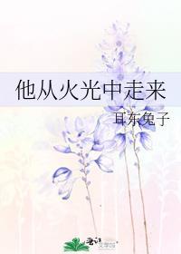 他从火光中走来免费观看完整版