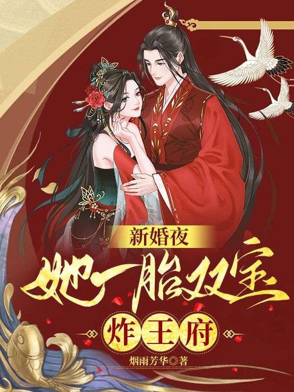 新婚夜她一胎双宝炸王府短剧