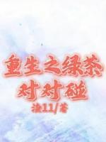 女主叫宁宁的现代