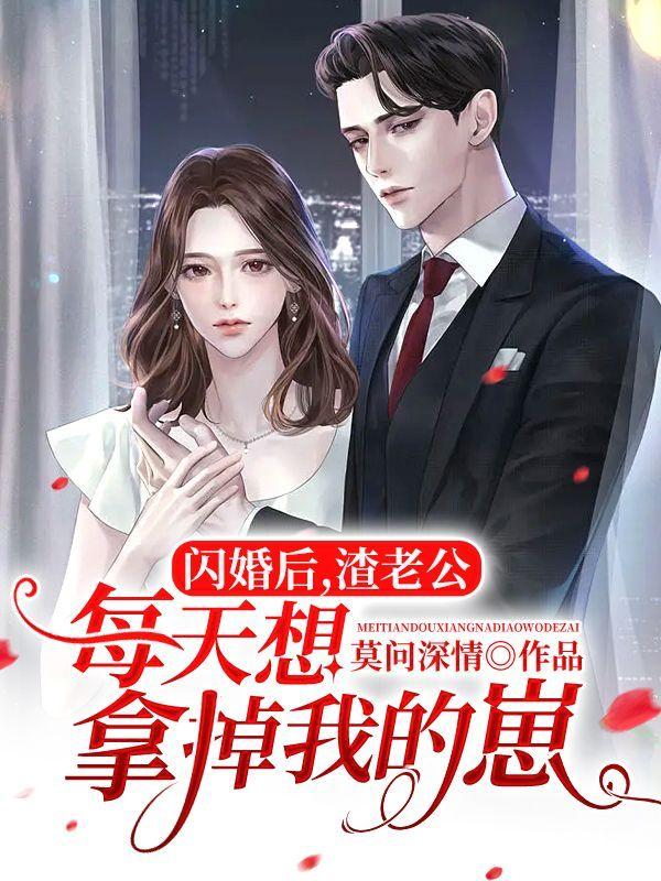 闪婚老公宠不停安九