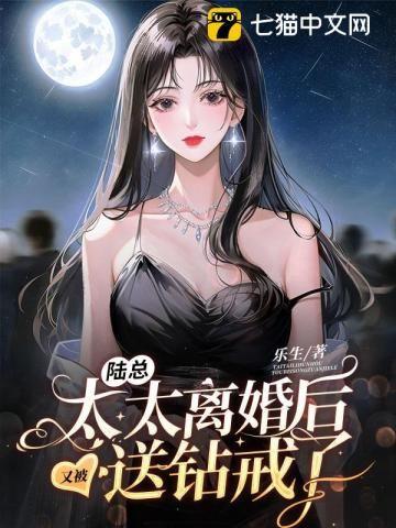 陆太太又闹离婚l