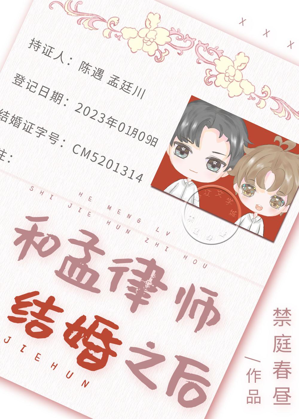 和孟律师结婚之后原版