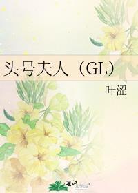 头号夫人gl作者叶涩