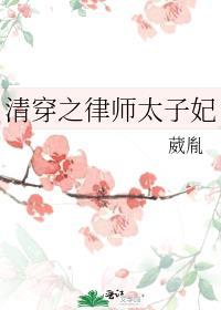 穿越之律师太子妃